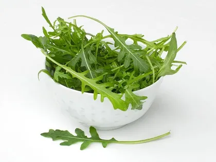 Руккола