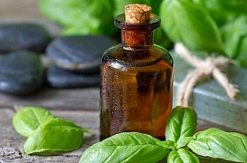 Эфирное масло базилика